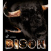 Dr Neubauer Bison Anti Table Tennis Rubber
