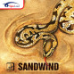 Spinlord Sandwind Anti Table Tennis Rubber