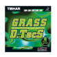 TIBHAR GRASS D.TECS ACID GREEN Long Pimples Table Tennis Rubber